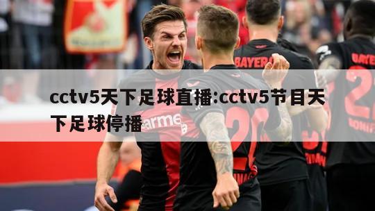 cctv5天下足球直播:cctv5节目天下足球停播