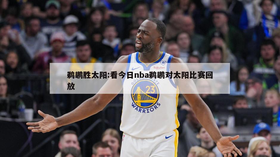 鹈鹕胜太阳:看今日nba鹈鹕对太阳比赛回放