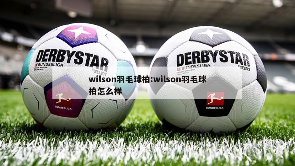 wilson羽毛球拍:wilson羽毛球拍怎么样