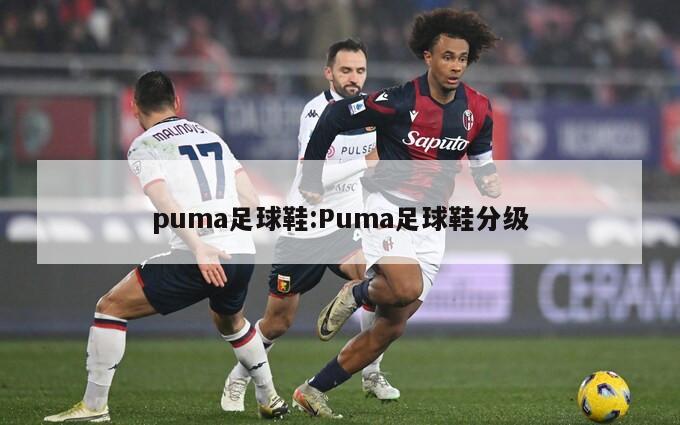 puma足球鞋:Puma足球鞋分级