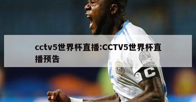 cctv5世界杯直播:CCTV5世界杯直播预告